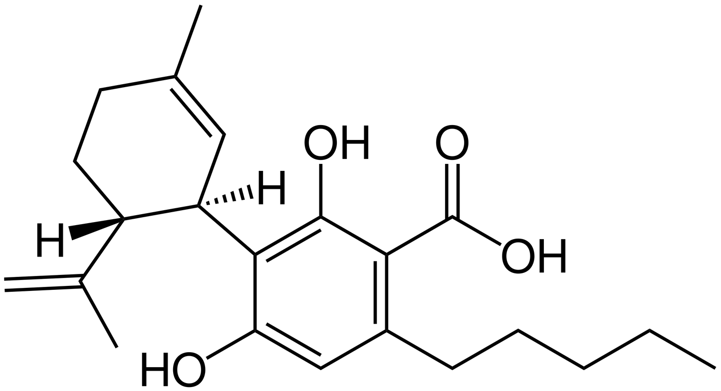 CBC, kaufen